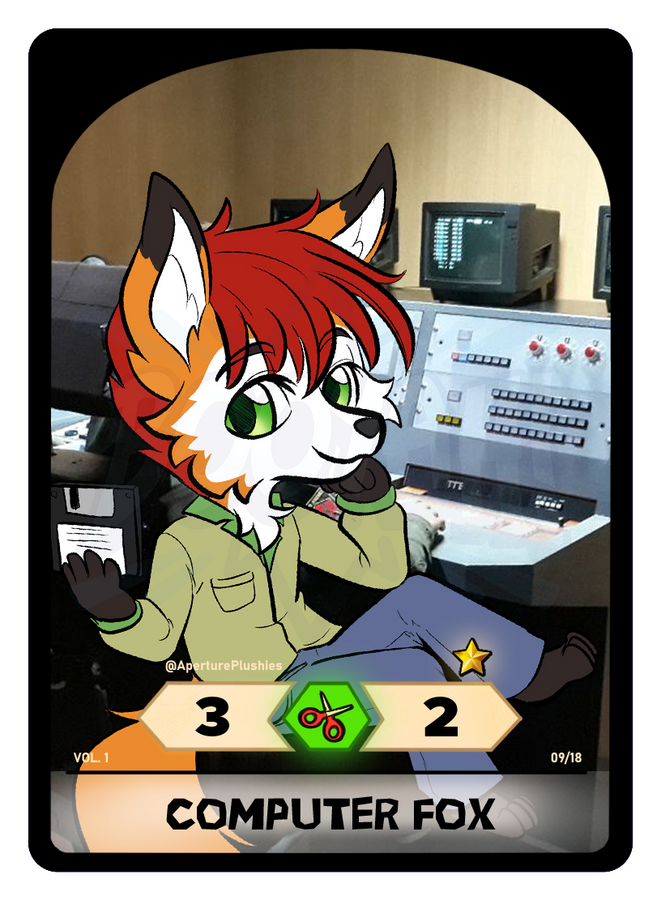 09_ComputerFox 09_ComputerFox